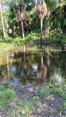 Vende-se terreno no Água Boa com título