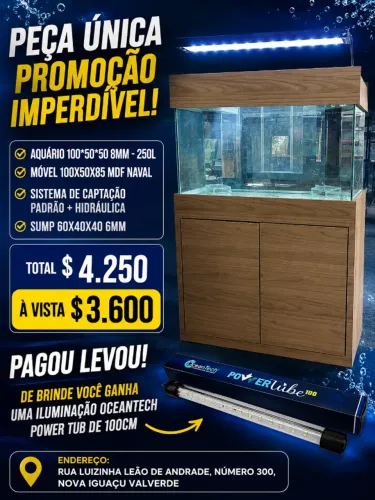 Aquário 100x50x50 cm - 250 Litros completo pronto a entrega 