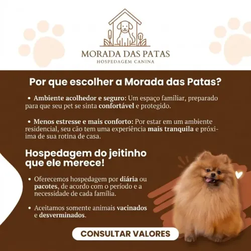 Hotel Pet Em Joinville