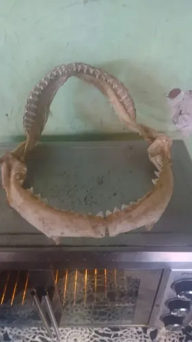 Quem dá mais leva