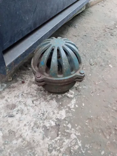 Válvula cebola de ferro