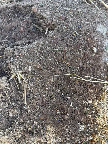 Esterco para horta doação 