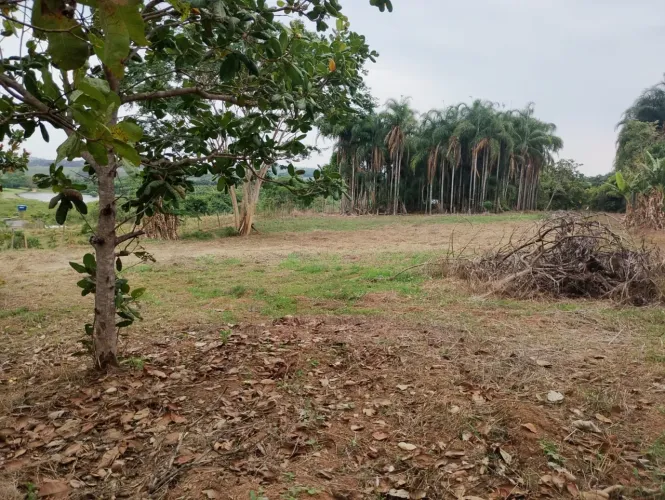Chácara em Nova Veneza Goiás