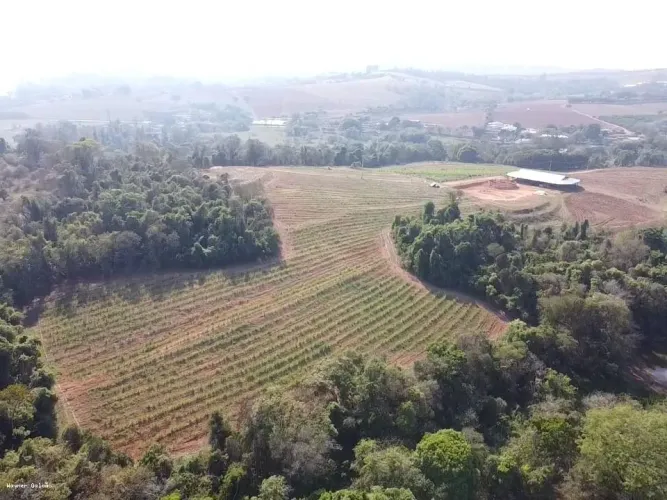 Sítio para Venda em Santo Antônio de Posse, Área Rural de Santo Antônio de Posse