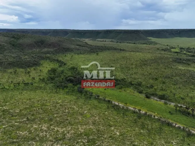 Fazenda 696 alqueires (3.371 hectares) Dianópolis - To