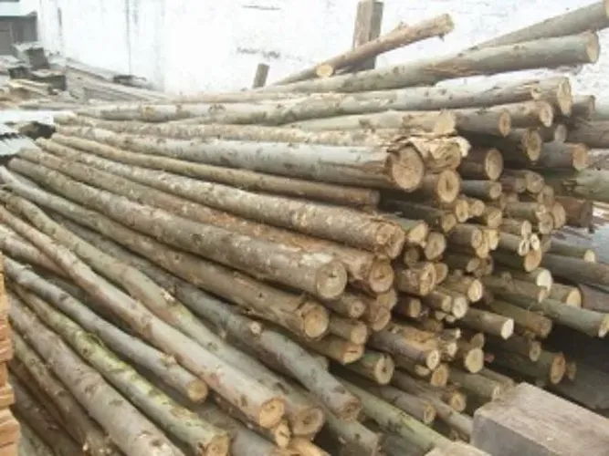 Escoras de eucalipto para obras e palanques para cerca