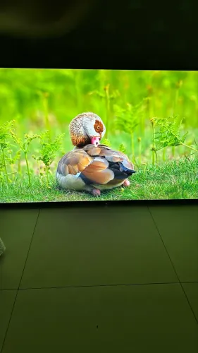 Televisão Samsung + soundbar JBL