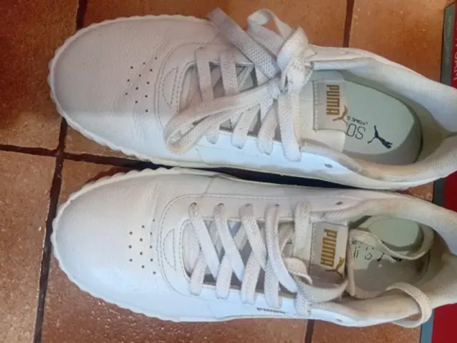 Tênis Puma   por 250  !!!  Só essa semana. 