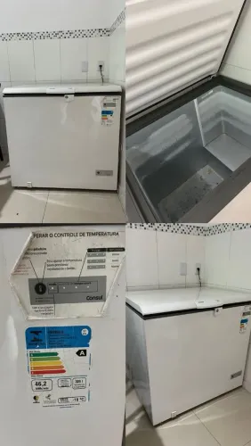 Freezer 309L