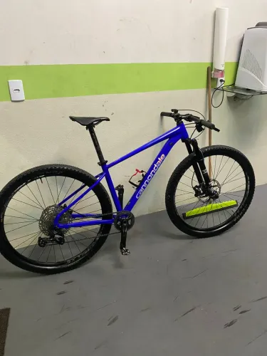 Vendo Absolute wild 2