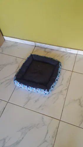 Cama + Manta para pet
