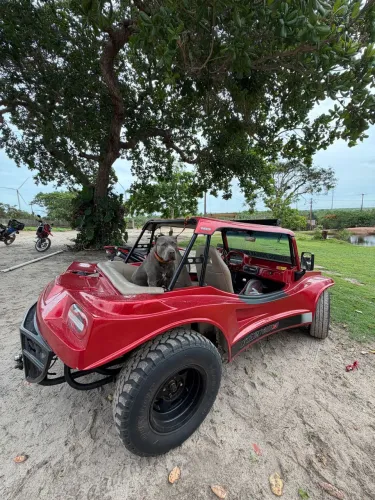 Fyber Buggy 2000w 1.8 8V/ 1.8 8V Flex 2008