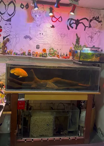 Vendo aquário completo