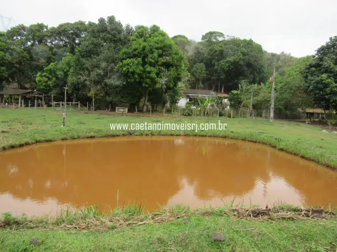 Fazendinha de 25 Hectares C/ Muito Potencial - Raridade