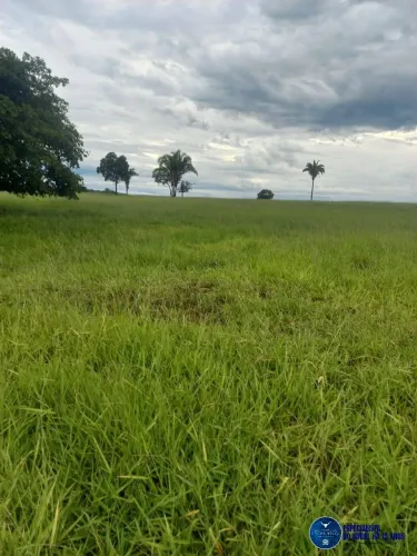 Fazenda à Venda em Novo Brasil - GO | 197 Alqueires - Dupla Aptidão