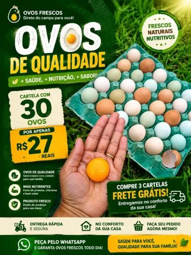 Cartela de ovos 
