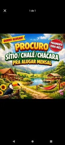 Procuro sítio/chácara pra alugar