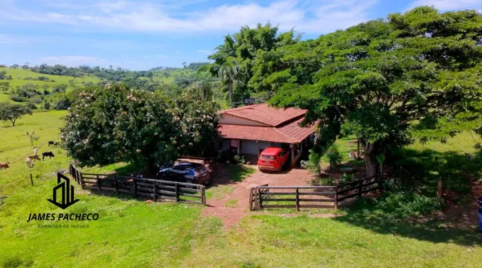 chacara` de 3 alqueires 20 litros anicuns goias