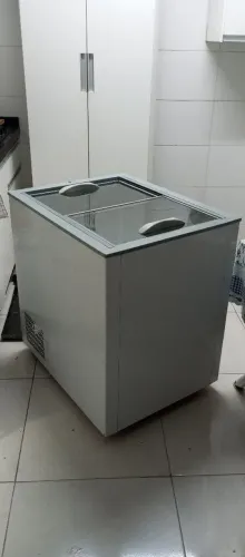 Freezer Gelopar 220 litros 220V