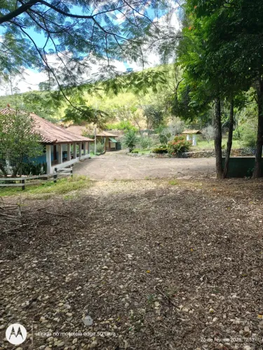 Sitio com galões e café Cristina MG