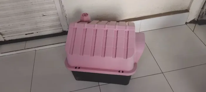 Casinha Para Cachorrinho Fêmea