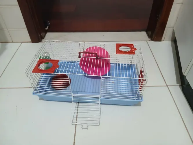 Gaiolas/casinhas de hamster 