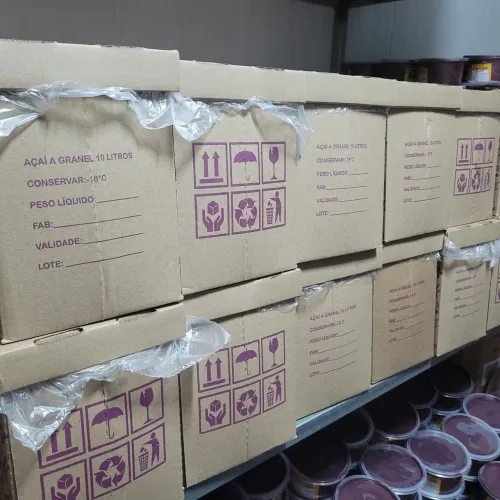 Vendo caixa de açaí 10 litros