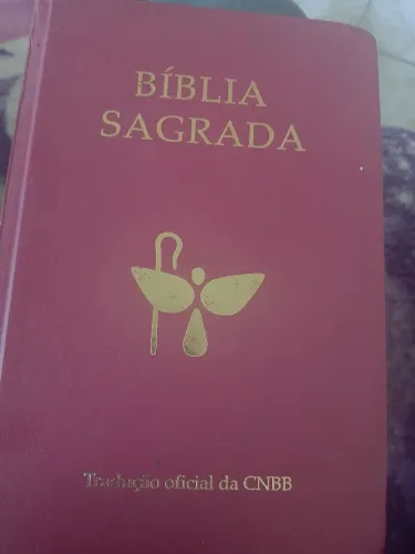 Bíblia católica