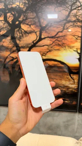 iPhone 17 Pro Max 512GB