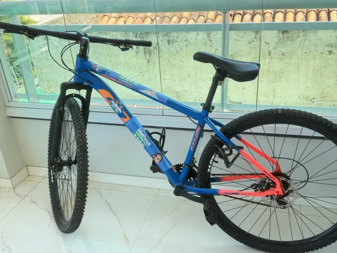 Bicicleta