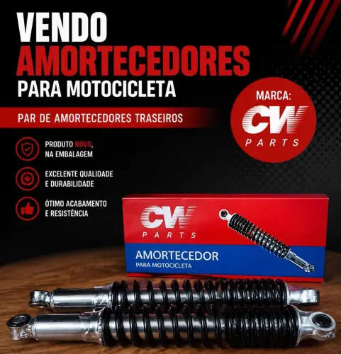  Amortecedor 