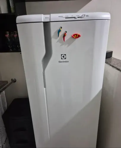 Geladeira Electrolux Cycle Defrost 240L Degelo 127V