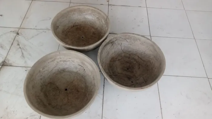 Vaso de plantas