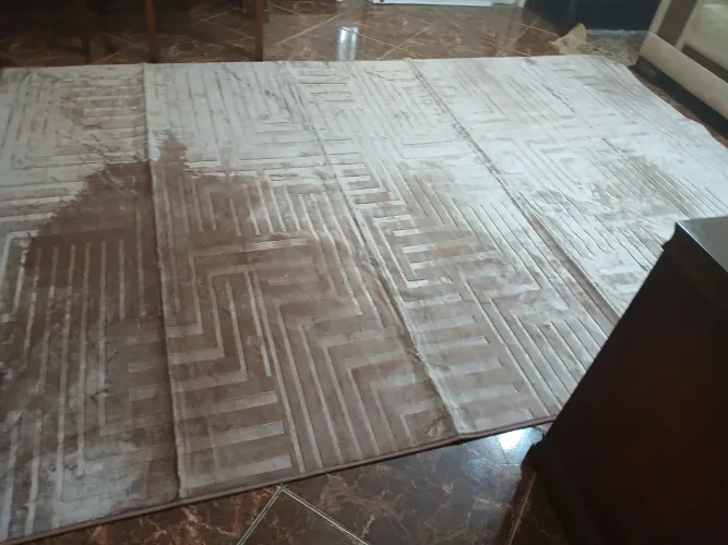 Vendo tapete aveludado novíssimo por ser grande demais; 2.00/3.00m