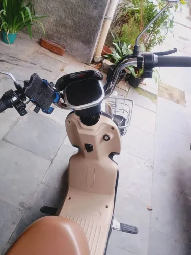 Motinha elétrica 809w