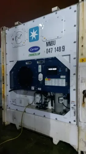 CÂMARA FRIA ( CONTAINER REFRIGERADO)