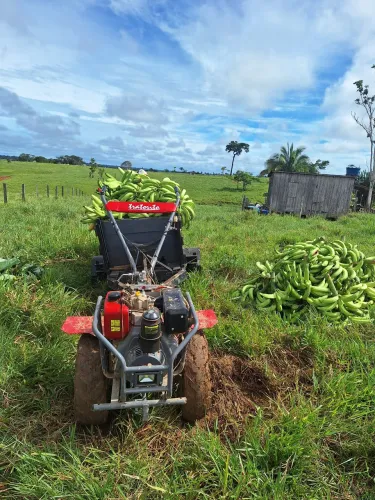 Microtrator diesel branco 10 hp 
