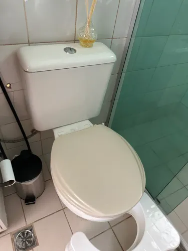 Vendo vaso sanitário com caixa acoplada e assento