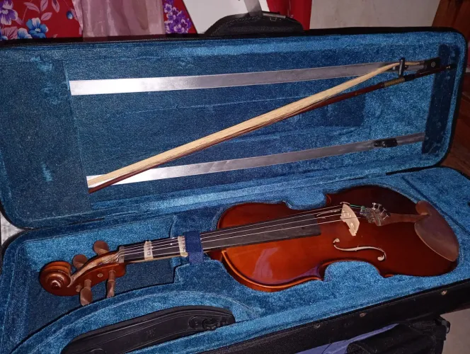 ? Violino Eagle VE-441 4/4 Completo + 3 Cordas Novas
