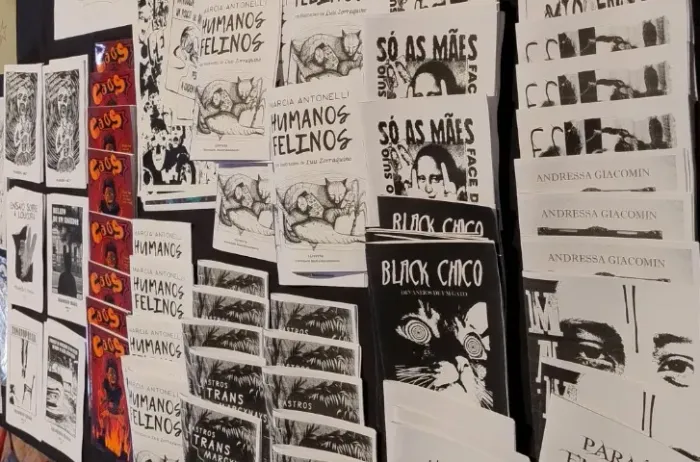 Fanzines (livretos, livros e revistas)