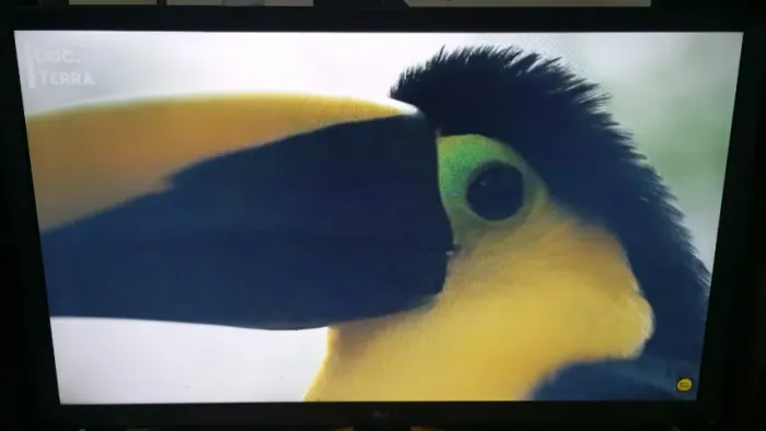 Smart TV LG