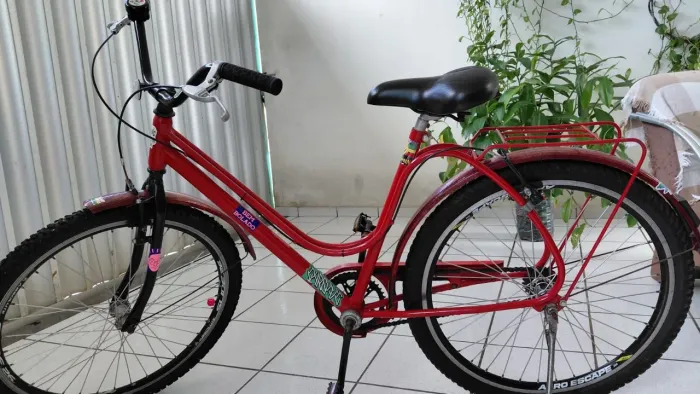Bicicleta vintage