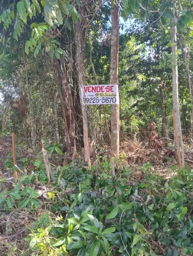 Terreno.  5000m2. Vivenda. Verde.  Valor. 400 mil. Documentado. E. Plano