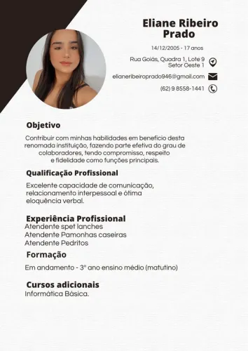 Currículo personalizado em PDF