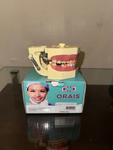 Manequim Odontológico Dentística Orais Com Preparo Ref. 102n