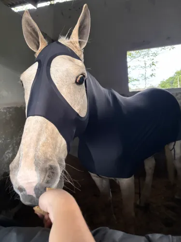 Capa para cavalo 