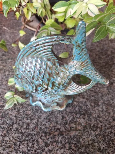 Peixe Porcelana