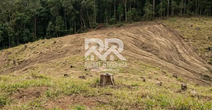 Oportunidade Exclusiva: Terreno para Construir na Carlos Guinle