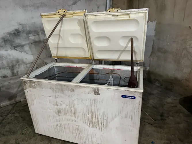 Freezer Horizontal