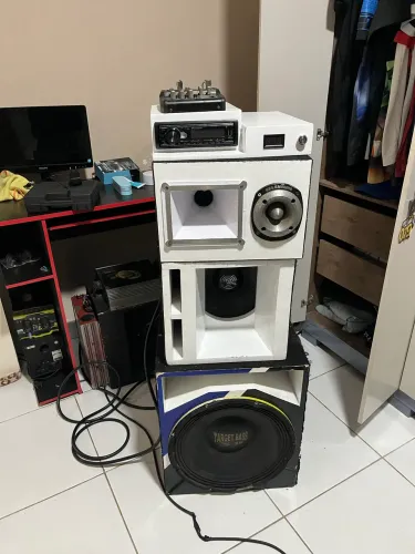 Som automotivo organizado